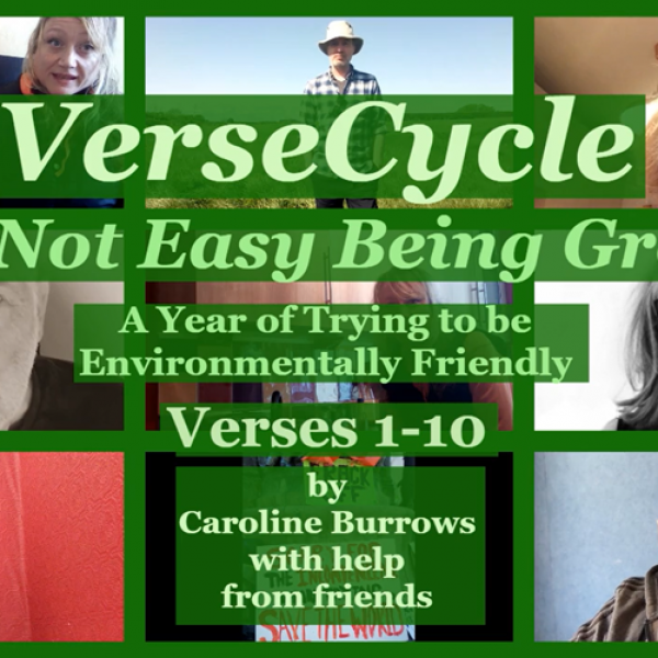 Caroline Burrows, A Year of Trying to be Environmentally Friendly: Its Not Easy Being Green